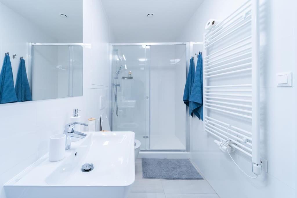 City Park Apartment - Brno Ngoại thất bức ảnh
